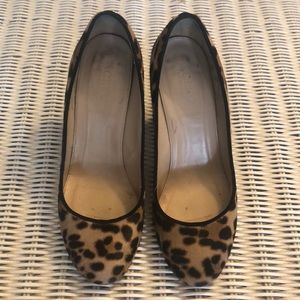 JCrew Etta Calf hair pumps leopard